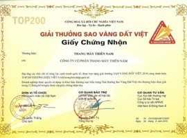 Viet Nam Gold Star Award 2010
